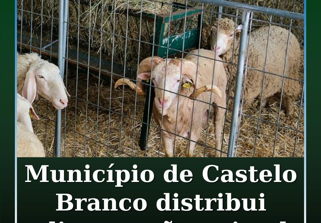 Município distribui alimentação animal nas explorações agropecuárias afetadas