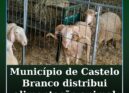 Município distribui alimentação animal nas explorações agropecuárias afetadas