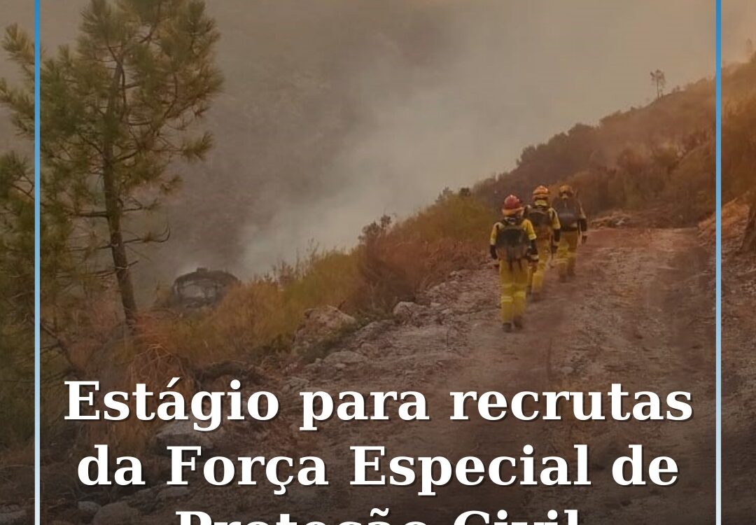 Novos recrutas da Força Especial de Proteção Civil iniciam estágio em Almeirim a