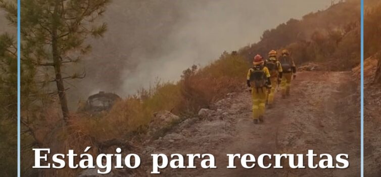 Novos recrutas da Força Especial de Proteção Civil iniciam estágio em Almeirim a