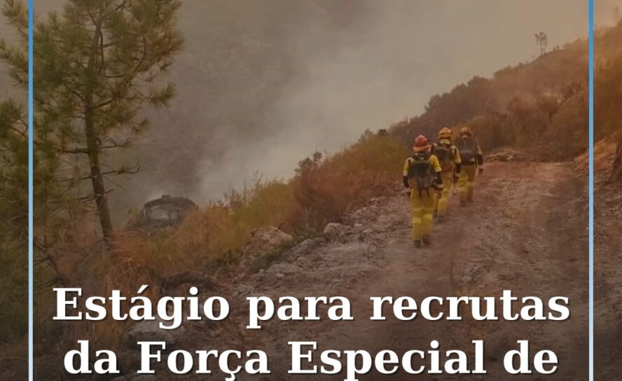 Novos recrutas da Força Especial de Proteção Civil iniciam estágio em Almeirim a