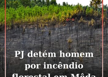 PJ detém homem por incêndio florestal