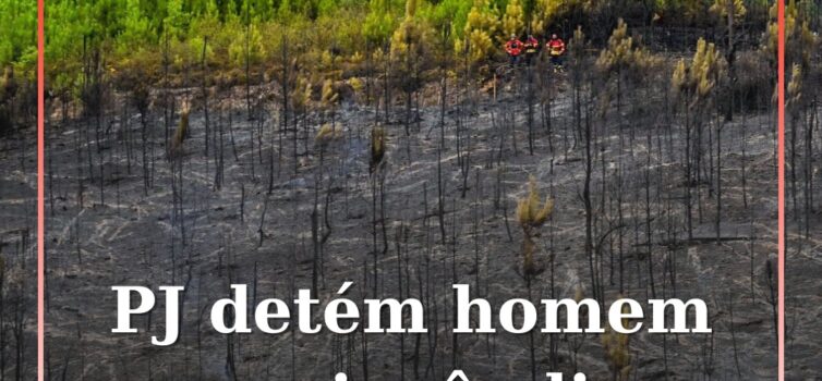 PJ detém homem por incêndio florestal