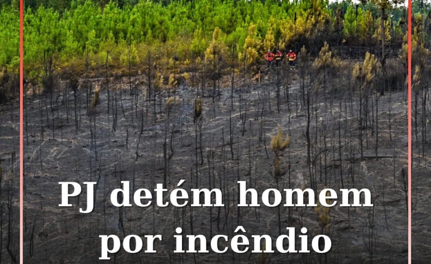 PJ detém homem por incêndio florestal