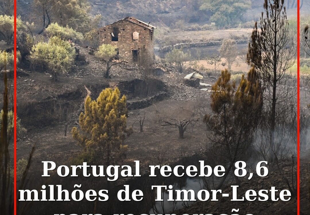 Portugal recebe 8,6 milhões de Timor-Leste para recuperação pós incêndios