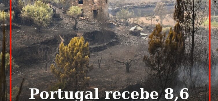 Portugal recebe 8,6 milhões de Timor-Leste para recuperação pós incêndios