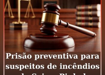 Prisão preventiva para suspeitos de incêndios em Seia e Pinhel