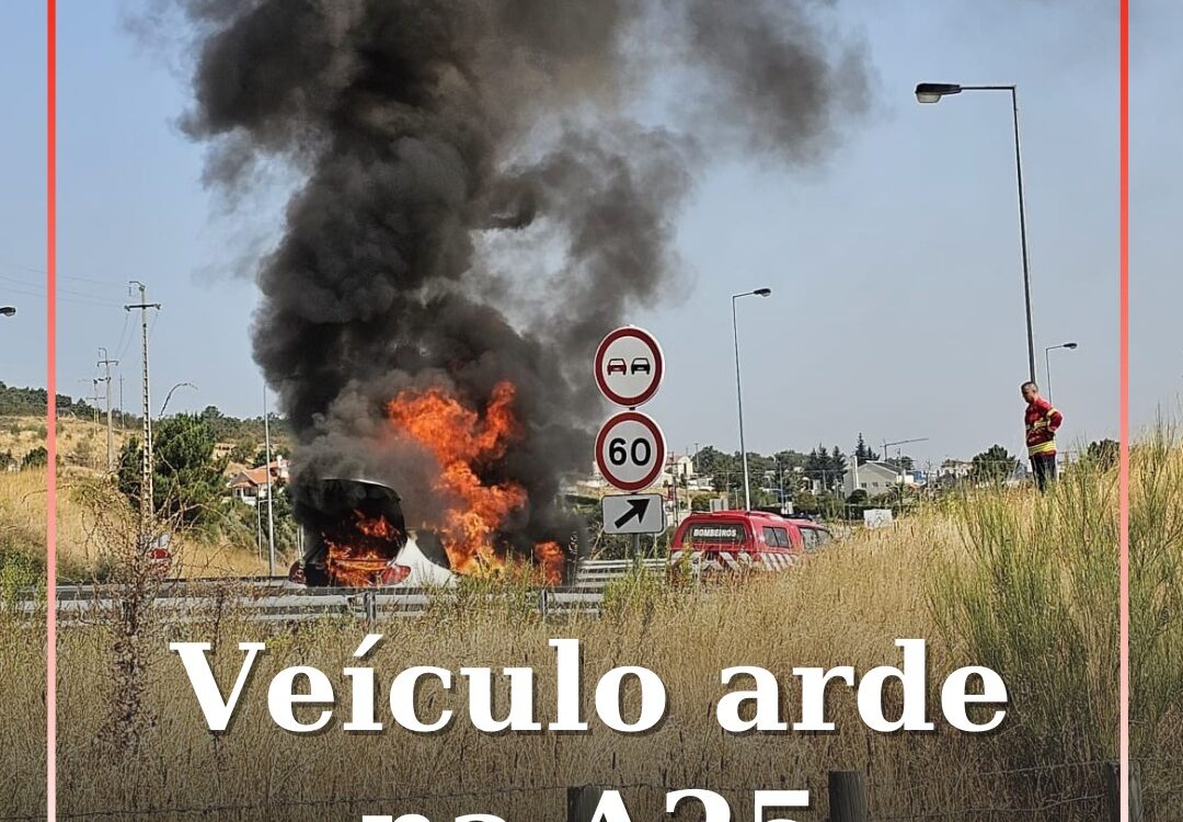 Veículo arde na A25