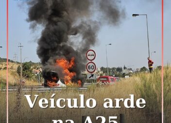 Veículo arde na A25