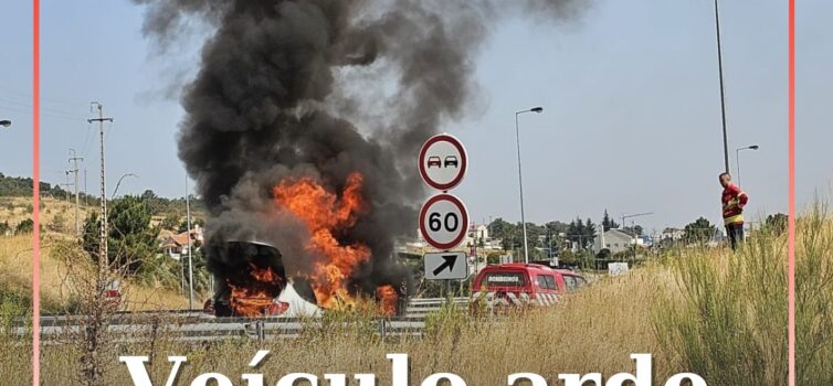Veículo arde na A25
