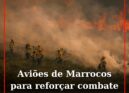 ‘Canadair’ inoperacionais: Portugal recebe aviões de Marrocos para reforçar comb