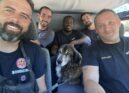 Bombeiros da Covilhã resgatam cão na ribeira das Cortes do Meio