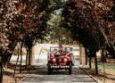 Bombeiros do Fundão celebram casamentos no mesmo dia