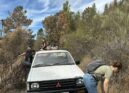 Caminheiros da Gardunha alimentam animais vítimas dos incêndios