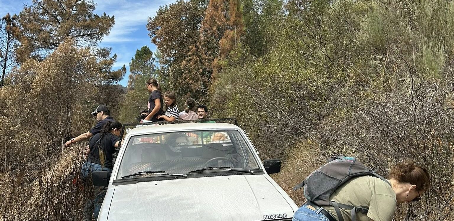 Caminheiros da Gardunha alimentam animais vítimas dos incêndios