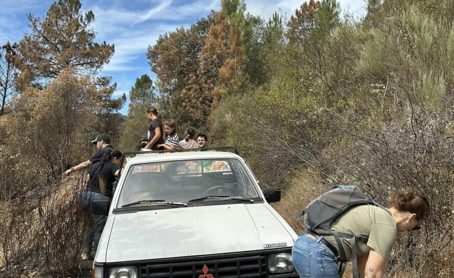 Caminheiros da Gardunha alimentam animais vítimas dos incêndios