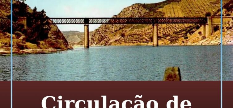 Circulação de pesados interditada na Ponte de Vila Velha de Ródão a partir de 16