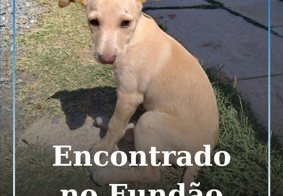 Encontrado no Fundão