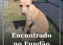 Encontrado no Fundão