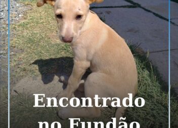 Encontrado no Fundão