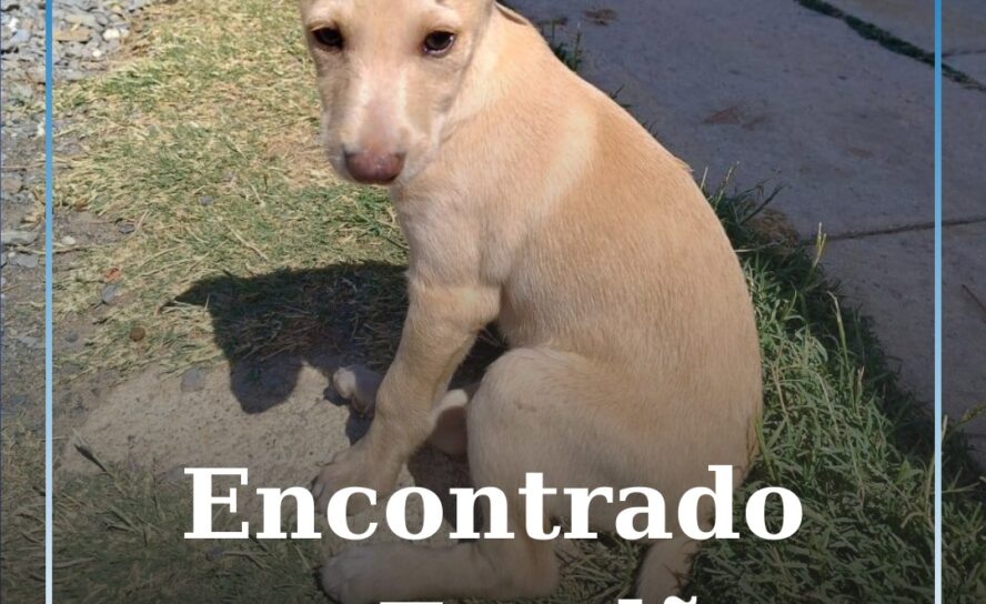 Encontrado no Fundão