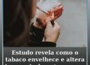 Estudo da Universidade do Porto revela como o tabaco envelhece e altera irrevers