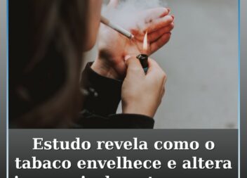Estudo da Universidade do Porto revela como o tabaco envelhece e altera irrevers
