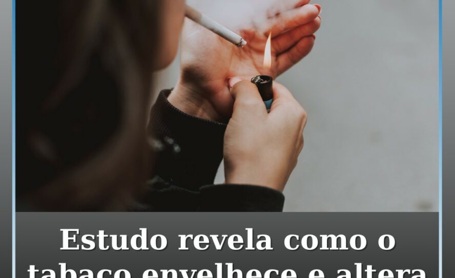 Estudo da Universidade do Porto revela como o tabaco envelhece e altera irrevers