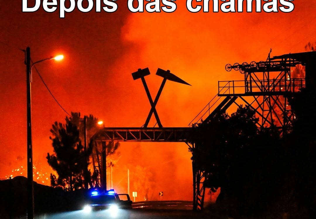 Grande Reportagem: