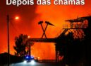Grande Reportagem: