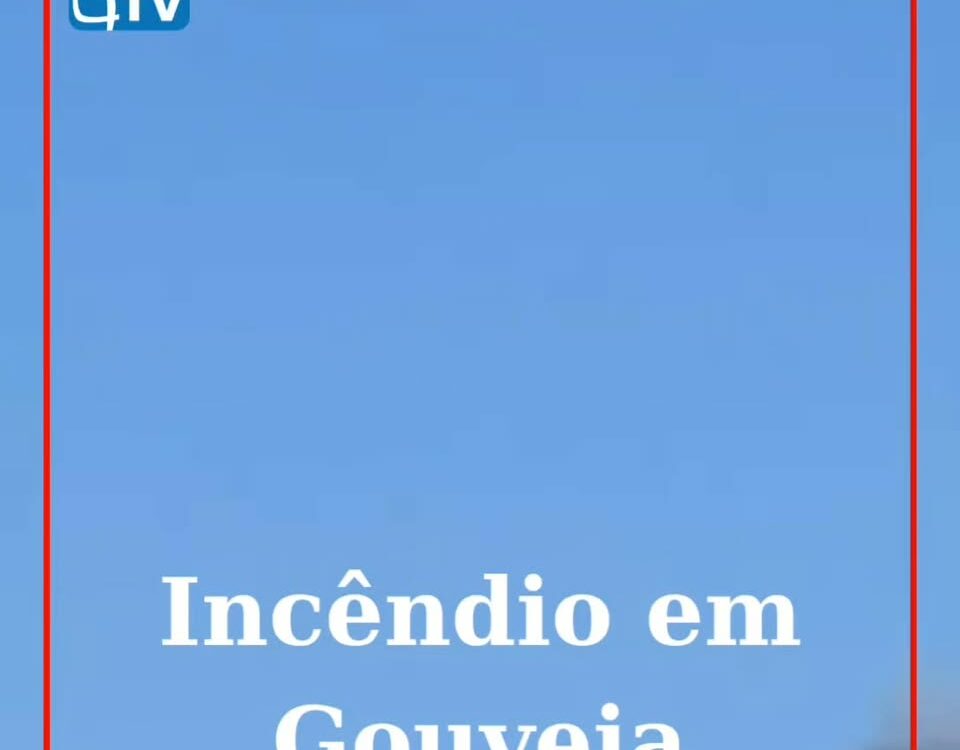 Incêndio atinge Gouveia