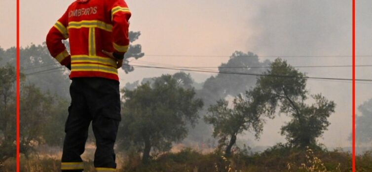 Incêndio deflagra em Castelo Branco