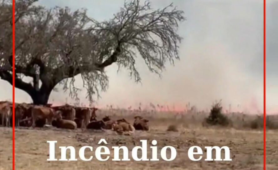 Incêndio deflagra em Portalegre