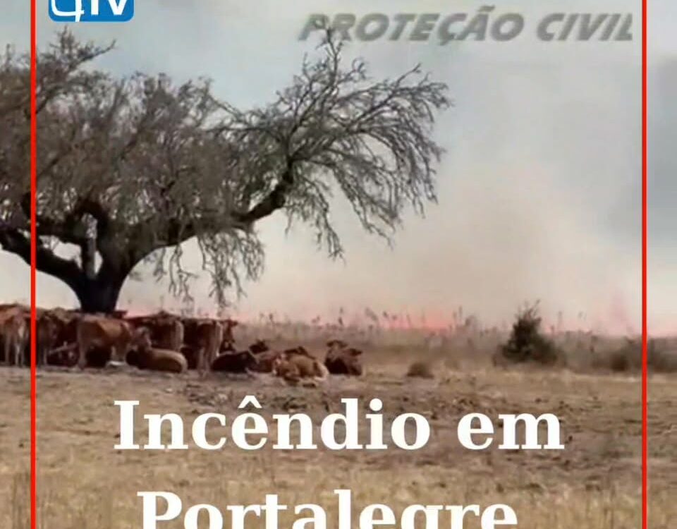 Incêndio deflagra em Portalegre