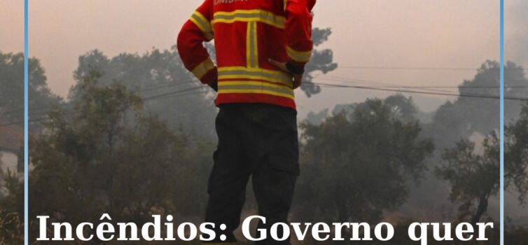 Incêndios: Governo quer criar equipas disponíveis 24 horas