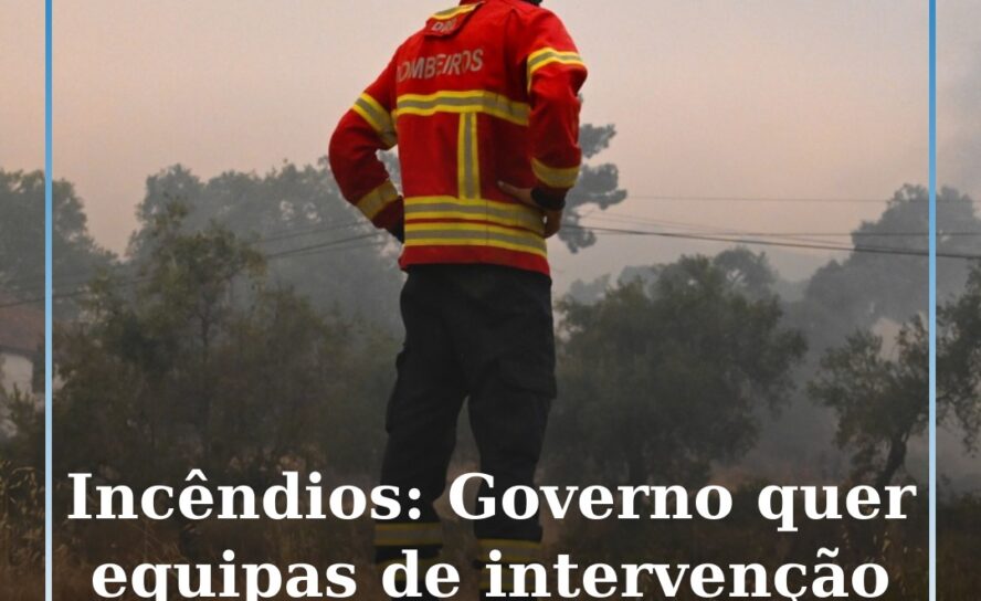 Incêndios: Governo quer criar equipas disponíveis 24 horas