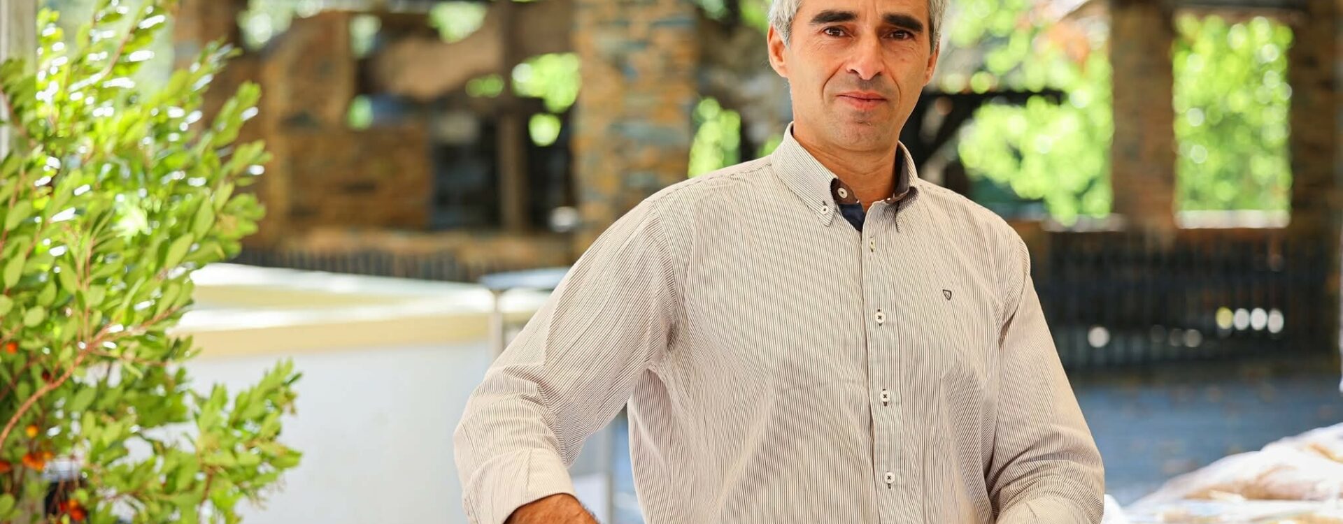 Mercado “Produtos da Terra” na Alameda da Carvalha até às 18h