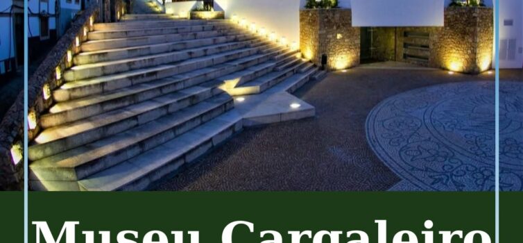 Museu Cargaleiro celebra 20 anos como referência cultural em Castelo Branco