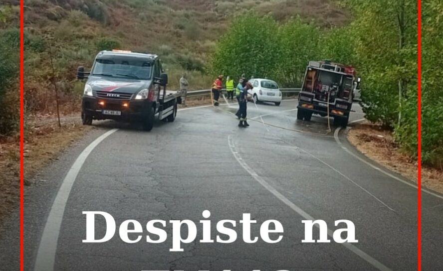 O despiste rodoviário de um veículo ligeiro de passageiros