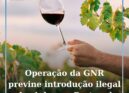 Operação “Dionísio” previne a introdução ilegal de vinho no mercado português