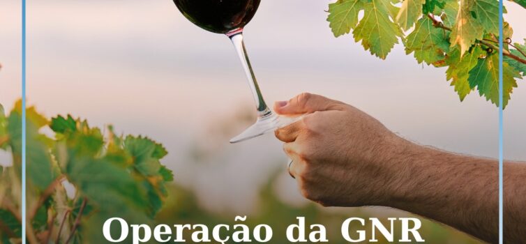 Operação “Dionísio” previne a introdução ilegal de vinho no mercado português