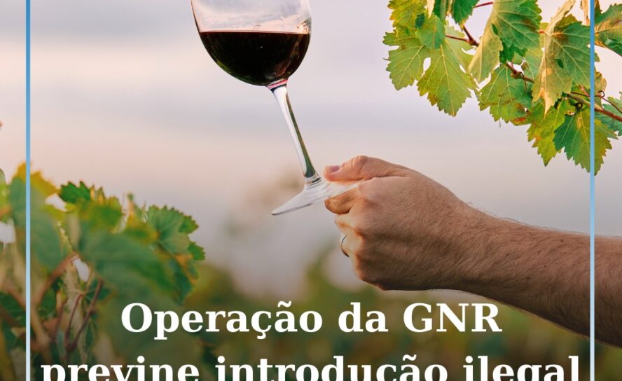 Operação “Dionísio” previne a introdução ilegal de vinho no mercado português