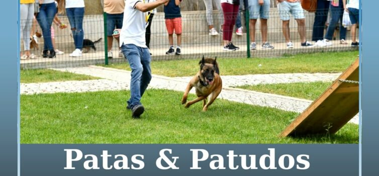 Patas & Patudos regressa a Castelo Branco com muitas atividades para toda a famí
