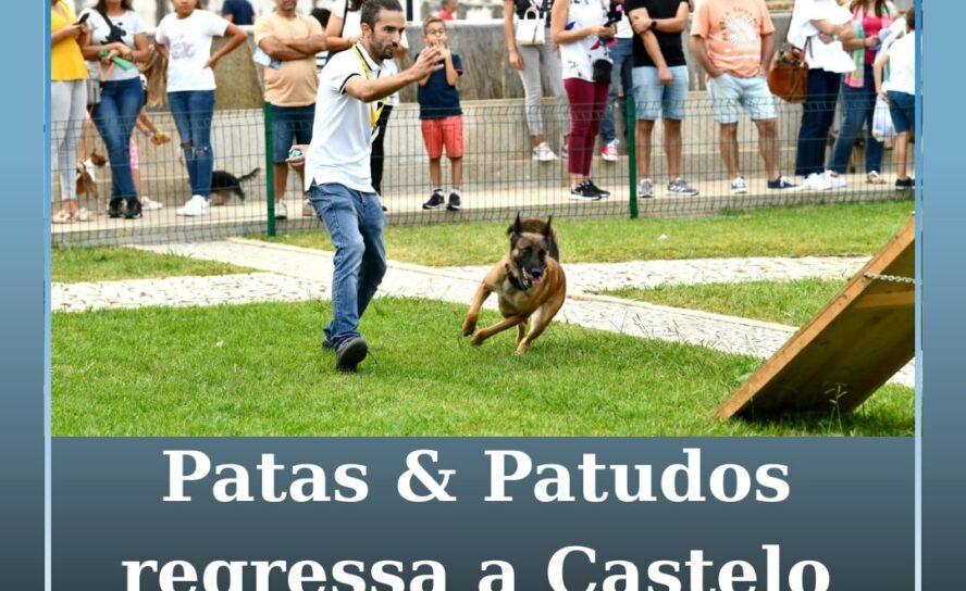 Patas & Patudos regressa a Castelo Branco com muitas atividades para toda a famí