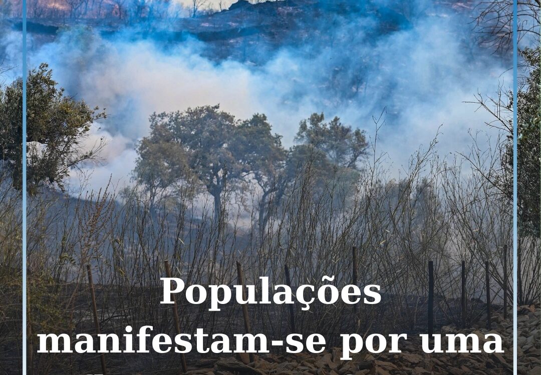 Populações de quinze concelhos manifestam-se no sábado por uma floresta com futu