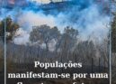 Populações de quinze concelhos manifestam-se no sábado por uma floresta com futu