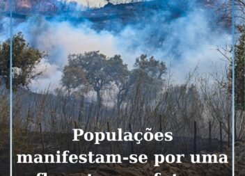 Populações de quinze concelhos manifestam-se no sábado por uma floresta com futu