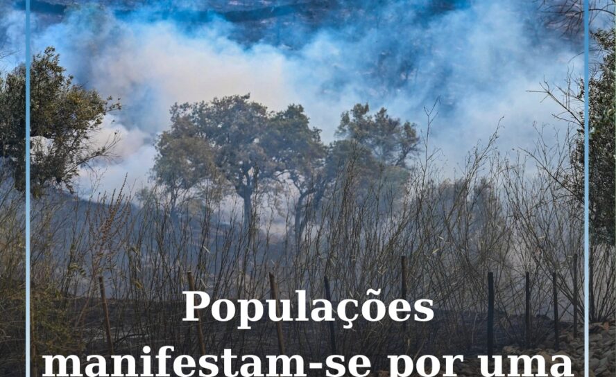 Populações de quinze concelhos manifestam-se no sábado por uma floresta com futu