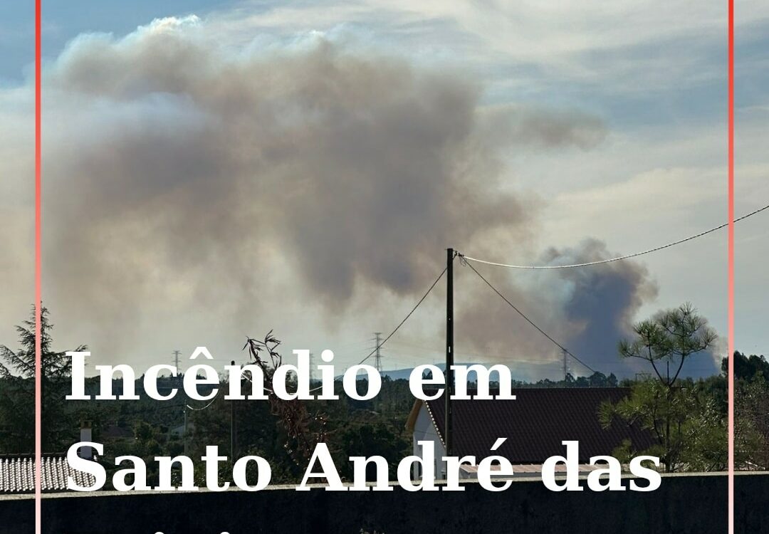 Quatro meios aéreos combatem incêndio
