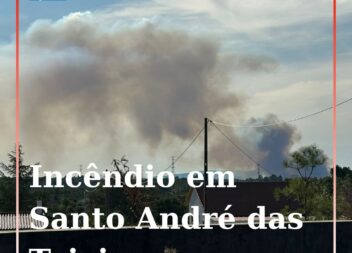 Quatro meios aéreos combatem incêndio